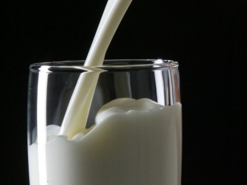 WHICH MILK IS BEST FOR YOU?